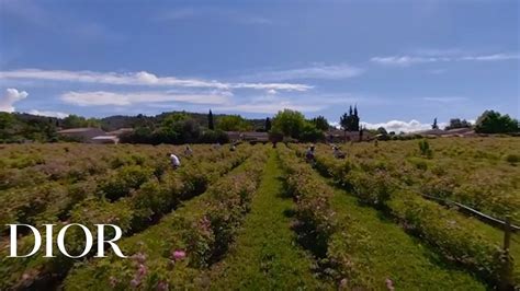 Grasse at the heart of Dior Fragrances – Film 360° .